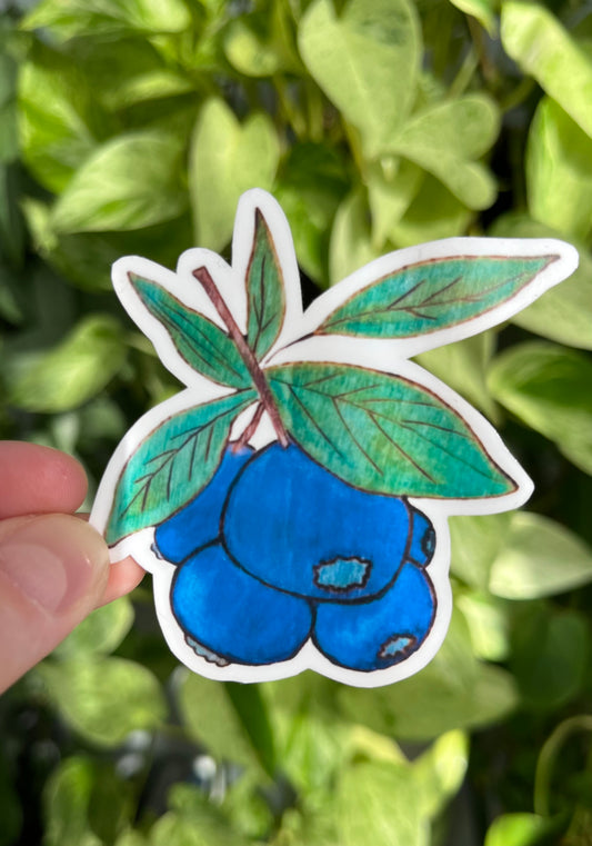 Blueberry Sticker