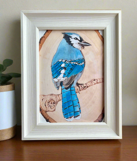 The Bluejay Print