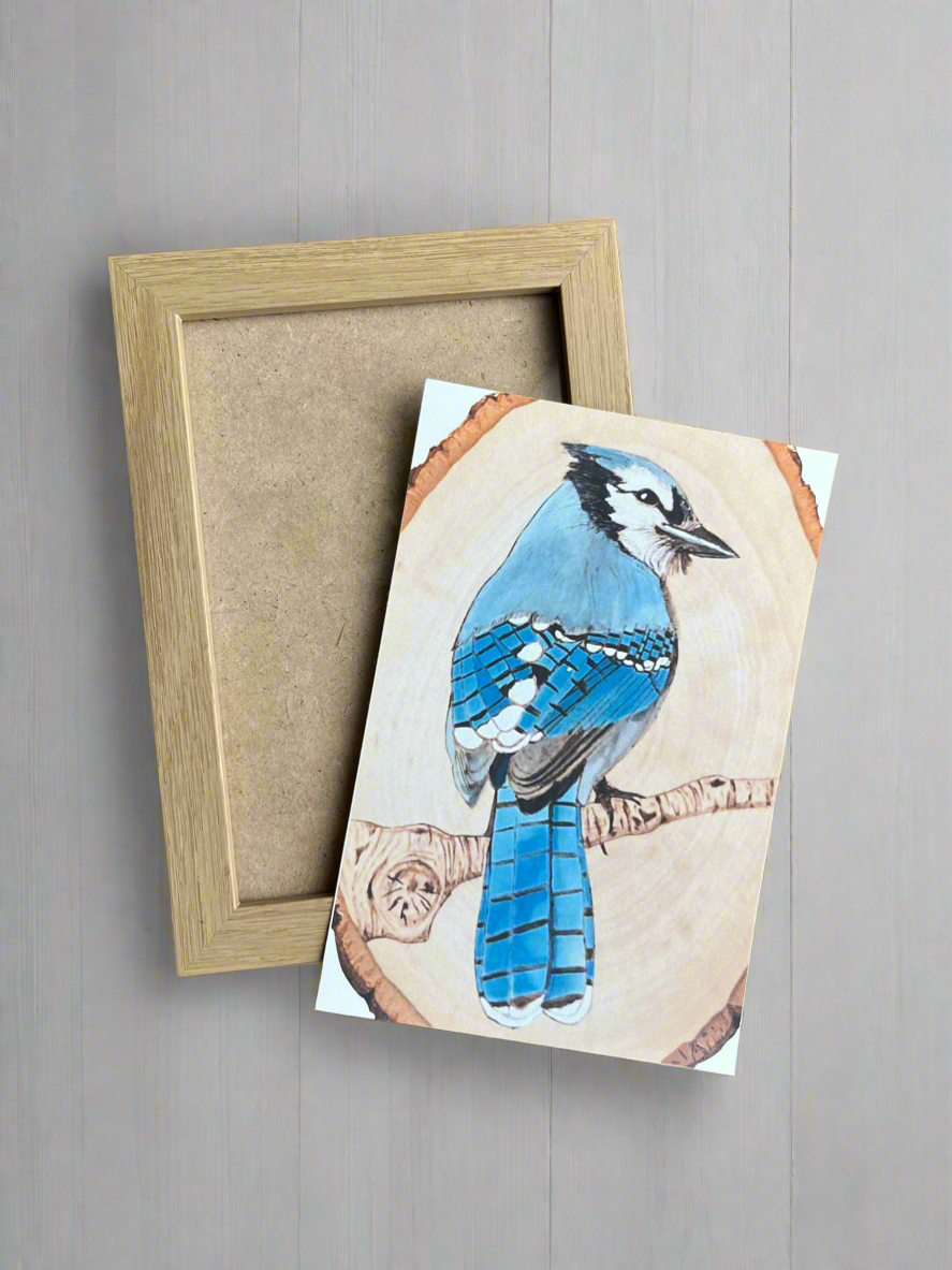 The Bluejay Print